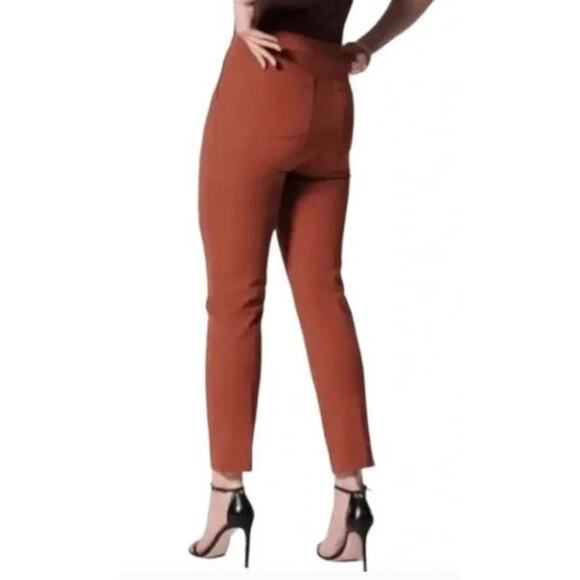 Spanx On the Go Ankle Slim Straight Leg Pants in Bronze Glow - Pet Med - Picture 1 of 8